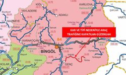 Bingöl'ün ilçesinde bir yol trafiğe kapatıldı