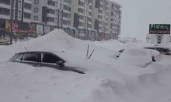 Bitlis kara gömüldü, 335 köy yolu kapalı