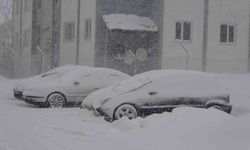 Bitlis'te 51 köy yolu ulaşıma kapandı