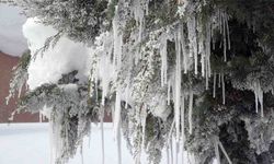 Bitlis'te karla mücadeleye rekor yakıt harcaması