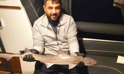 Bodrum açıklarında oltaya köpek balığı takıldı