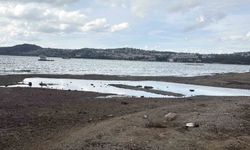 Bodrum'da deniz çekildi