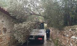 Bodrum'da fırtına etkili oldu