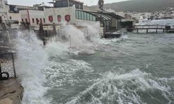 Bodrum'da tekneler karaya vurdu, feribot seferleri yapılamadı