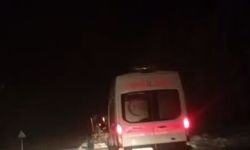 Büyükşehir'den karla mücadele