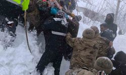 Çatak'ta çığ faciası: Kayıp kadın kurtarıldı