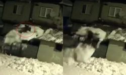 Çatıdaki karı temizlerken kar kütlesiyle zemine düştü