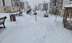 Çermik'te TOKİ hak sahipleri 17 Ocakta belli olacak