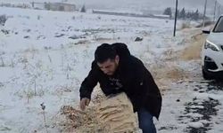 Çermik'te yaban hayvanları için doğaya yem bırakıldı