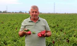 Çiftçilerden çağrı: 'Üretim maliyetleri baskılanamaz hale geldi'