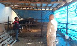 ÇMVA çalışmaları devam ediyor