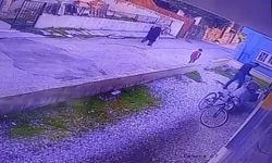 Çocukların gözü önünde köpeği katletti