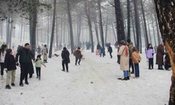 Çorum'da kar festivali vatandaşların akınına uğradı