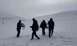 Darende'de öğretmen ve öğrencilerden yaban hayvanlarını unutmadı