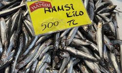 Denizlerdeki durgunluk tezgaha yansıdı