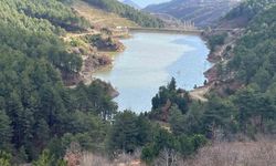 Denizli'de göletlerin doluluk oranları yağışlara rağmen istenilen seviyeye ulaşmadı