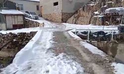 Develi'de mahalleli köprüye korkuluk istiyor