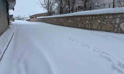 Diyadin'de yoğun kar yağışı hayatı olumsuz etkiliyor