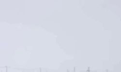 Diyarbakır'da kurtlar yerleşim yerlerine indi