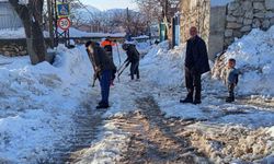 Diyarbakır'da vatandaşlar karla kapanan yolları kendi imkanları ile açtı
