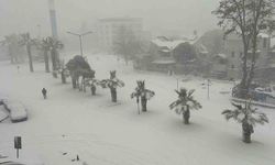 Düzce yeni yıla karla girdi