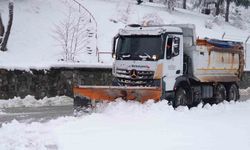 Düzce'de belediye ekipleri kar yağışıyla birlikte sahaya indi