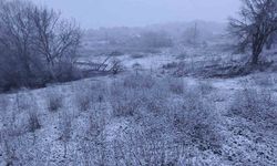 Edirne'nin Hamzabeyli köyünde kar yağışı başladı