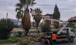Efeler Belediyesi'nden Umurlu Karayolu'nda çalışma