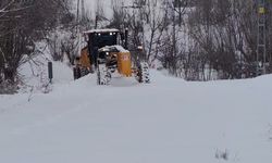 Elazığ'da 181 köy yolu açıldı, 365'inde çalışmalar sürüyor
