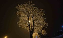 Elazığ'da ağaçlar kırağı tuttu