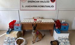 Erzincan İl Jandarma Komutanlığı'nın 2025 yılı faaliyet bilançosu açıklandı