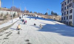 Erzincan'da dondurucu soğuğa rağmen çocukların kızak sevinci