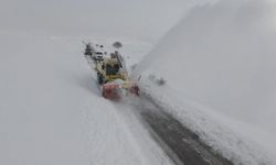 Erzincan'da kar ve tipi: 328 köy yolu ulaşıma kapandı
