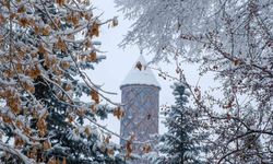 Erzurum'da buzlanma ve dona dikkat