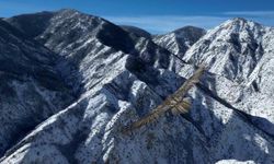 Erzurum'da sakallı akbaba dron ile görüntülendi