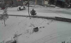 Gaziantep'te karlı yolda feci kaza: Kayan araç kaldırıma çarparak devrildi