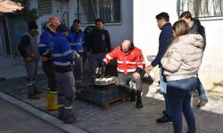 Germencik'te çaylar Başkan Zencirci'den