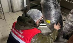 Gıda üretim ve satışı yapan işletmelerine yönelik denetim