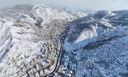 Gümüşhane'de kar görsel şölene dönüştü