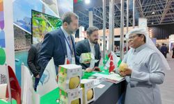 Gürsu armudu Cidde Turizm Fuarı'nda