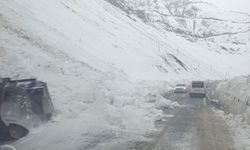 Hakkari-Çukurca yoluna düşen çığlar temizlendi