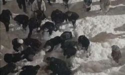 Hakkâri'de çatıdan düşen kar kütlesinin altında kalan öğrenci yaralandı