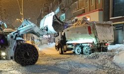 Hakkari'de kar dağları şehir dışına çıkartılıyor