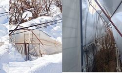 Hakkari'de kar seraları çökertti