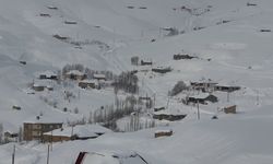 Hakkari'de kar yağışı: 229 yerleşim yerinin yolu kapandı