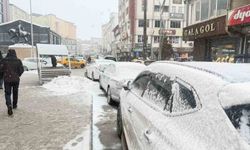 Hakkari'de kar yağışı