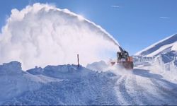 Hakkari'de karla mücadele: 294 yerleşim yerinin yolu ulaşıma açıldı