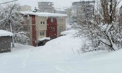 Hakkari'de okullar tatil edildi