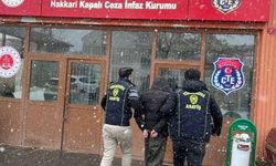 Hakkari'de uyuşturucu ve hırsızlık operasyonu