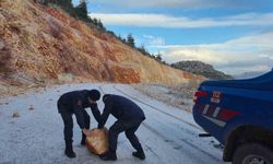 Harmankaya Tabiat Kanyonu'nun yolunu düşen kaya parçası jandarma tarafından kaldırıldı